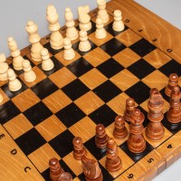 Нарды-шашки-шахматы (три в одном) №2