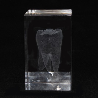 Сувенир из оптического стекла "Зуб"