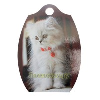 Доска декоративная с рисунком