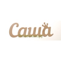Надпись плоская с именем "Саша"